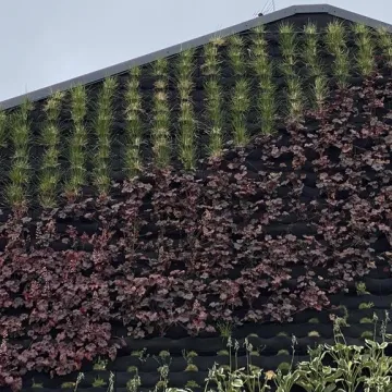 Ogrody wertykalne w Radomsku oficjalnie oddane do użytku