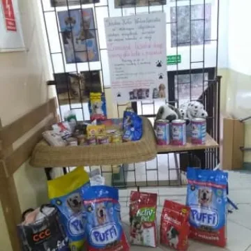 Dzieci pomagają zwierzętom