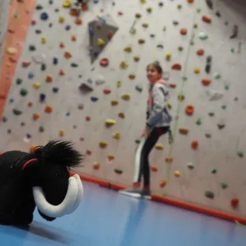 Nauka fotografii na ściance wspinaczkowej