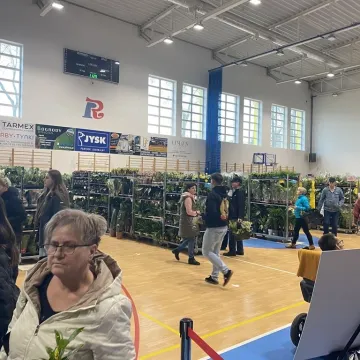 Rośliny opanowały Radomsko. Festiwal Roślin odbył się po raz pierwszy