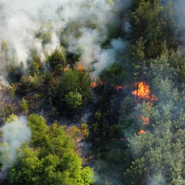 Lasy płoną. W tym roku było już 21 pożarów.