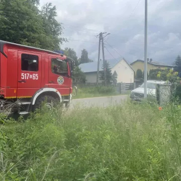 Powalone drzewo w Tomaszowie. Interweniowały dwie jednostki straży