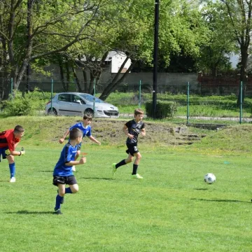 XXV Puchar Tymbarku. Radomsko gospodarzem regionalnych eliminacji