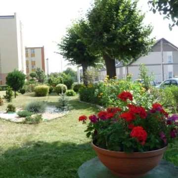 Radomsko w kwiatach i zieleni 