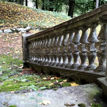 Foto Pozytyw edukuje w Niechcicach