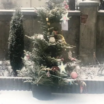 Konkurs na najładniejszą choinkę 