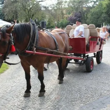 Piknik z Radomszczańską Kapelą Podwórkową
