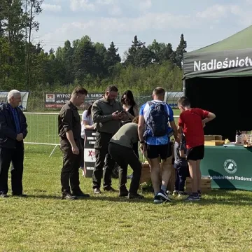 W Gomunicach poszli i pobiegli dla pszczół