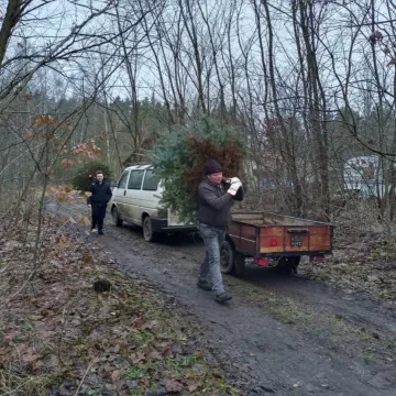 Wielkie „Choinkobranie” w Radomsku