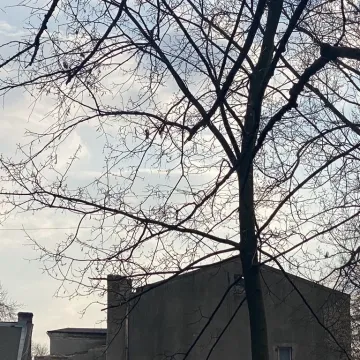 Nowy etap prac przy „Kinemie” Trwa demontaż dachu