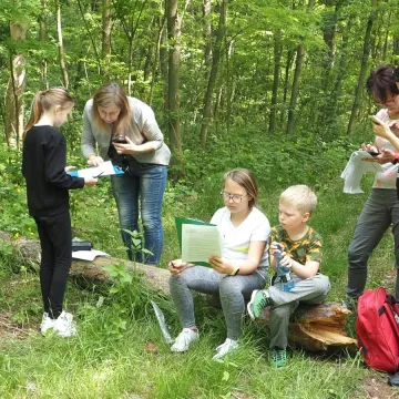 Ścieżka zagadek w „Tajemniczym lesie” pokonana