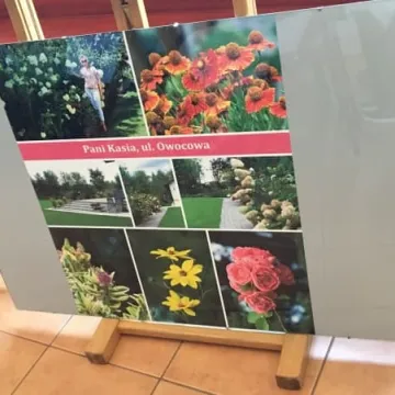 Laureaci konkursu „Mój dom cały w kwiatach”