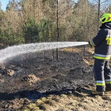 Podpalacz po ugaszeniu spodni i bielizny uciekł do lasu