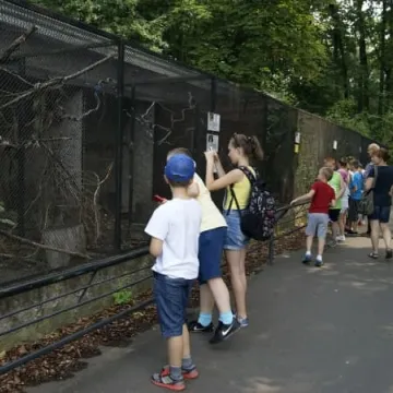 Muzeum Regionalne na wyciecze w Łodzi