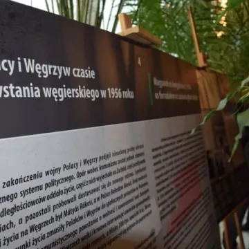 Prezydent Ferenc na Dniach Przyjaźni Polsko-Węgierskiej