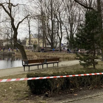[WIDEO] Radomsko uczciło Żołnierzy Wyklętych biegiem Tropem Wilczym
