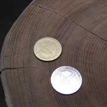 1 Radomsk – moneta z naszego miasta