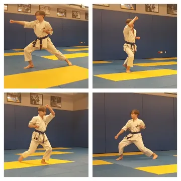 Radomszczanka trzecia w Pucharze Świata WKO w kata