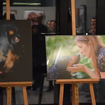 Cztery łapy w obiektywie 