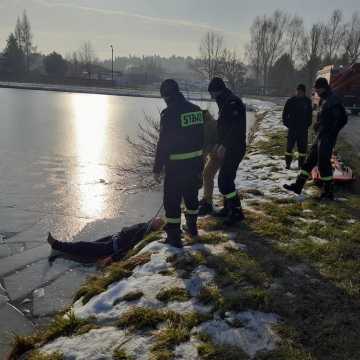 Człowiek pod wodą! Ćwiczenia ratownicze strażaków z Radomska na Folwarkach