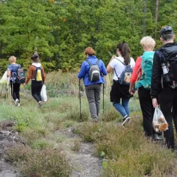 Wędrówki w Kolorach Jesieni