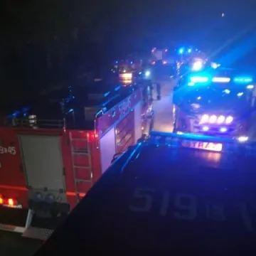 Spłonęło 5 hektarów traw