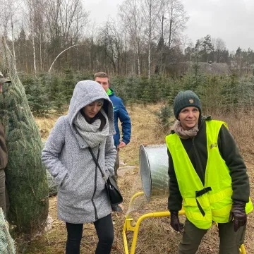 Nadleśnictwo Radomsko zaprasza na „choinkobranie”