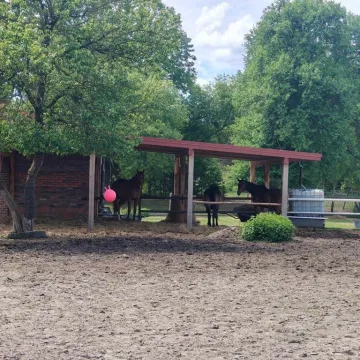 Ostatnie spotkanie z cyklu „Gliniankowy Nordic Walking” za nami