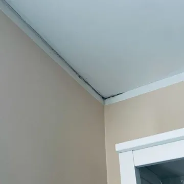 Odgrzybianie a estetyka: jak walka z pleśnią może odmienić wygląd twojego wnętrza?