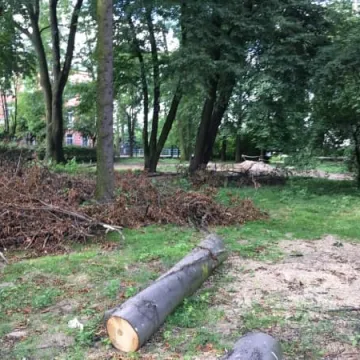 Trwają prace rewitalizacyjne w parku Świętojańskim