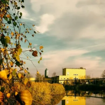 Weekendowe warsztaty plenerowe