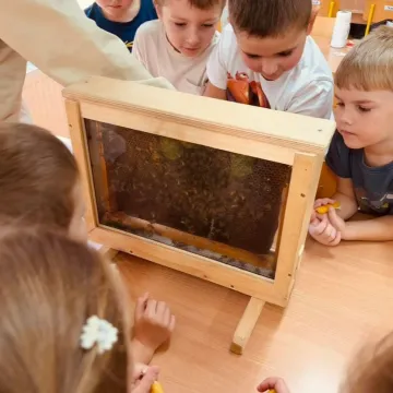 Warsztaty pszczelarskie w przedszkolu nr 4