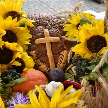 Gminno-Parafialne Dożynki w Przedborzu