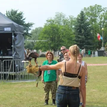 Dni Radomska 2018: Pokazy sokolnika