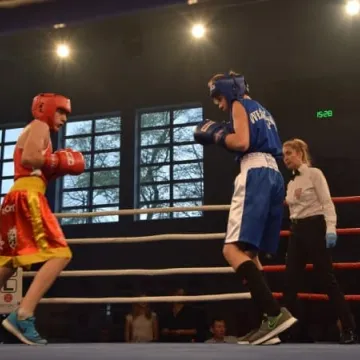 II Gala Boksu w Radomsku