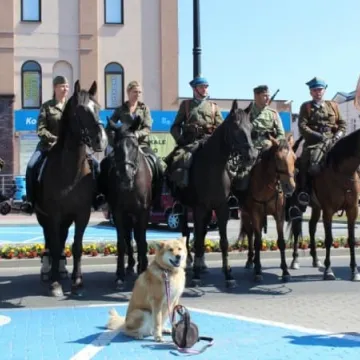 Szlakiem Wołyńskiej Brygady Kawalerii
