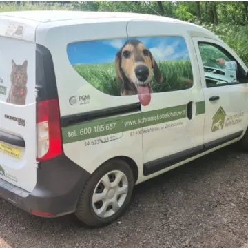 Ktoś przywiązał psiaka do słupka i odjechał. Policja poszukuje sprawcy