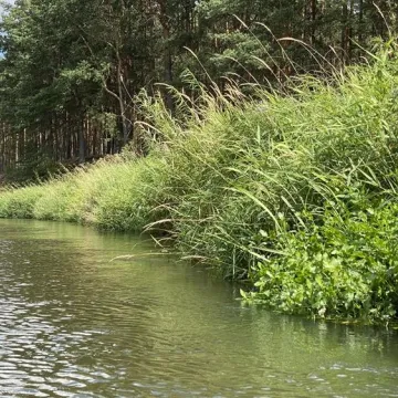 ERA Travel zaprasza na spływy kajakowe