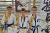 Medale dla karateków z Radomska