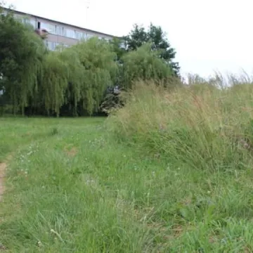 Zarośnięty „Wielorybek” nie zachęca