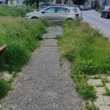 Mieszkańcy ul. Różanej skarżą się na niewykoszoną trawę