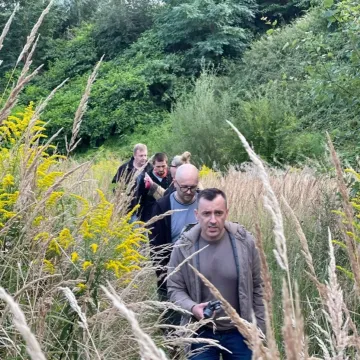 Spacer w obronie drzew na Gliniankach w Radomsku