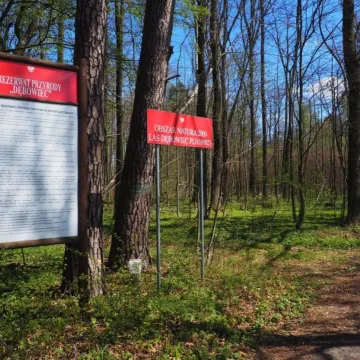 Propozycja na majówkę: Rezerwat Przyrody Dębowiec