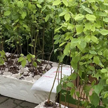 W Radomsku trwa finał mobilnej zbiórki elektroodpadów