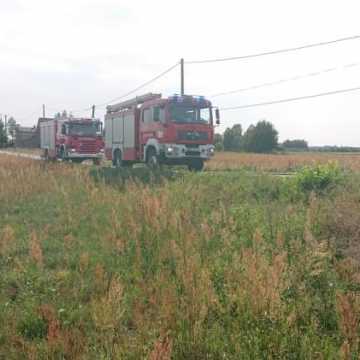 Paliły się trawy w Stępkach w gminie Dobryszyce