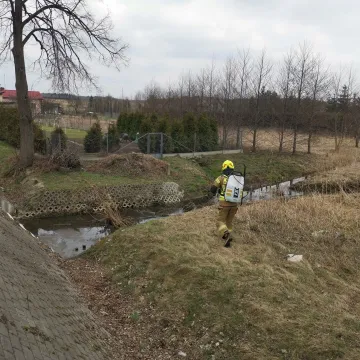 Strażacy z KSRG OSP Kamieńsk usuwali zagrożenie chemiczno- ekologiczne