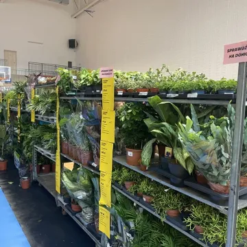 Rośliny opanowały Radomsko. Festiwal Roślin odbył się po raz pierwszy