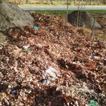Wysypisko śmieci obok cmentarza w Przedborzu