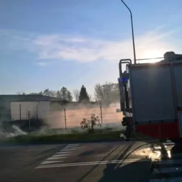 Pożar trawy na osiedlu przy ulicy Sadowej