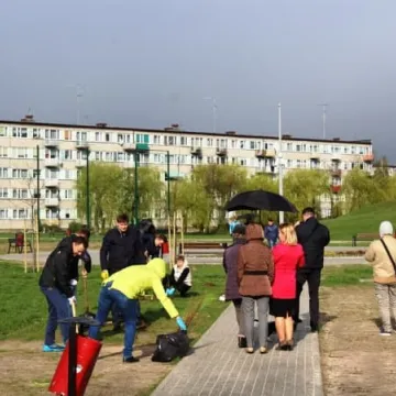 Samorządowcy z Platformy Dialogu sadzili drzewa